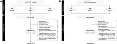 A curated census of pathogenic and likely pathogenic UTR variants and evaluation of deep learning models for variant effect prediction